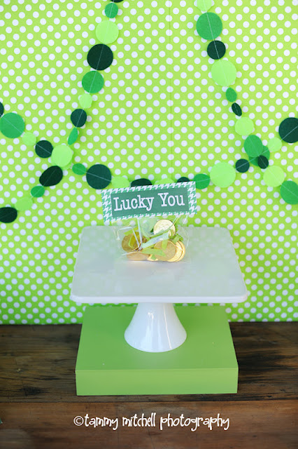 Kara s Party Ideas St  Patrick s Day Birthday Party  - 38