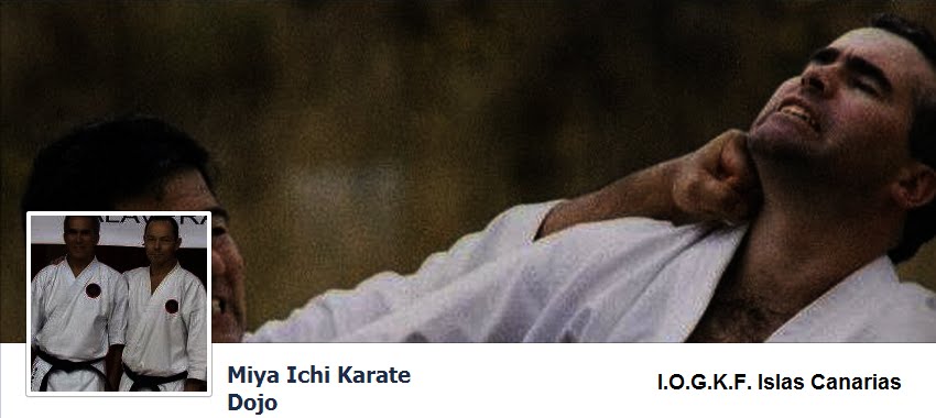 Miya Ichi Karate Dojo