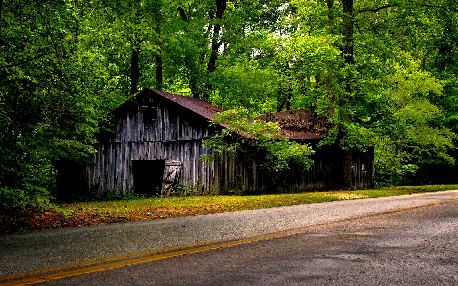 Top 35 Beautiful And Fabulous Paths Wallpapers In HD