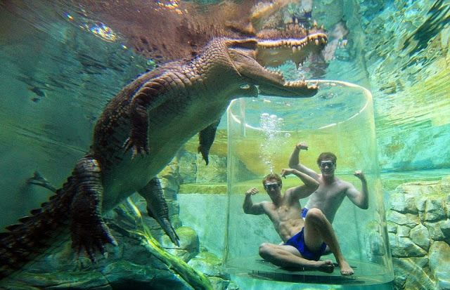 Underwater trip to Australia