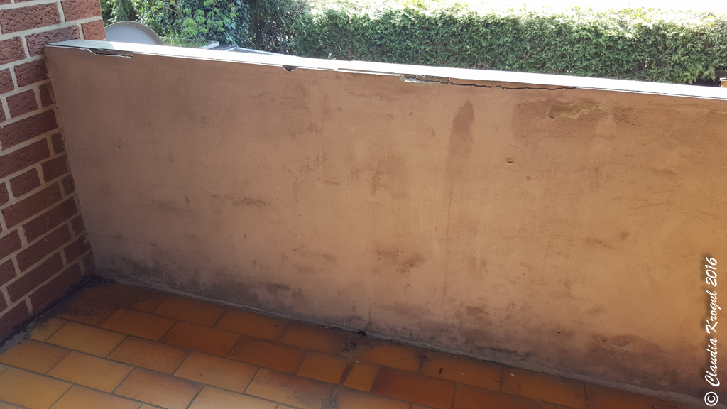 Dickydackel Blog Von Balkon Streichen Bis Tatort Munster