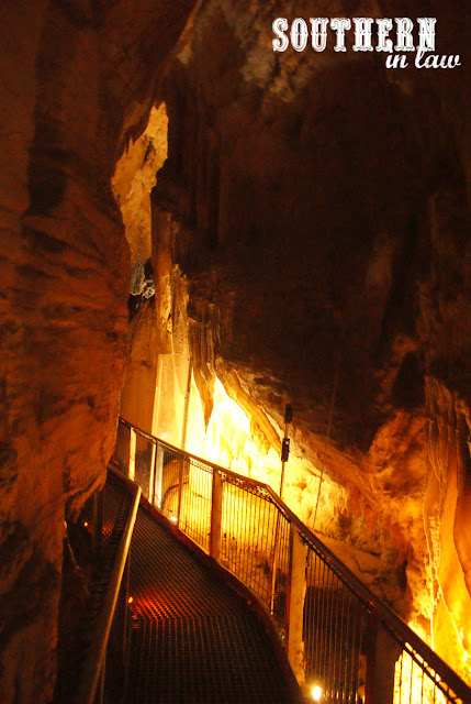 Southern In Law New Zealand Travel Reviews - Waitomo Glowworm Caves Review and Discounts