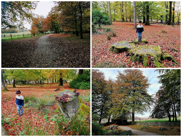 Longshaw Estate walks