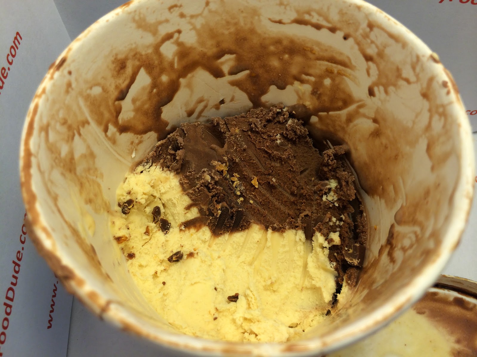 Crazy Food Dude Review Ben & Jerry's Peanut Butter Fudge Core Ice Cream