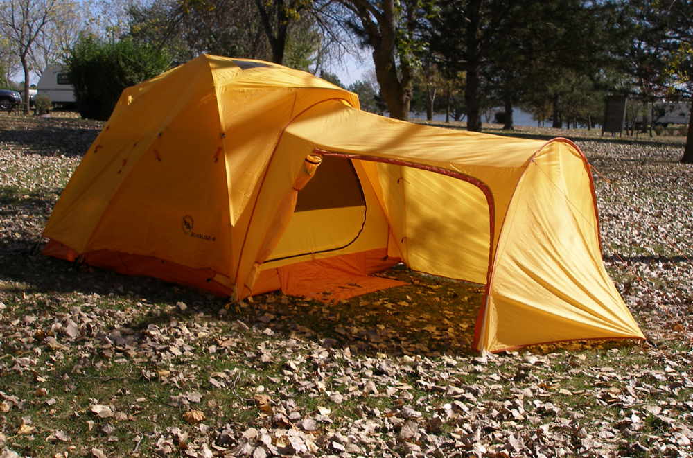 nimasprout Art by Nicole Gustafsson Branched Oak Camping Trip