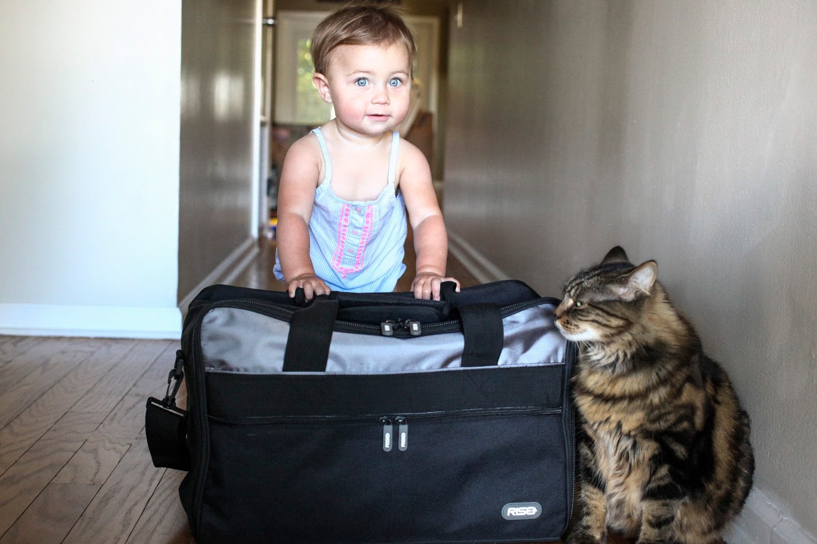 RISE Gear | An Elevated Packing Solution Travel Trends