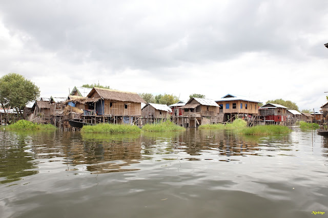 Objetivo Birmania - Blogs of Myanmar - 07-08-16. Paseo por el lago Inle. (2)