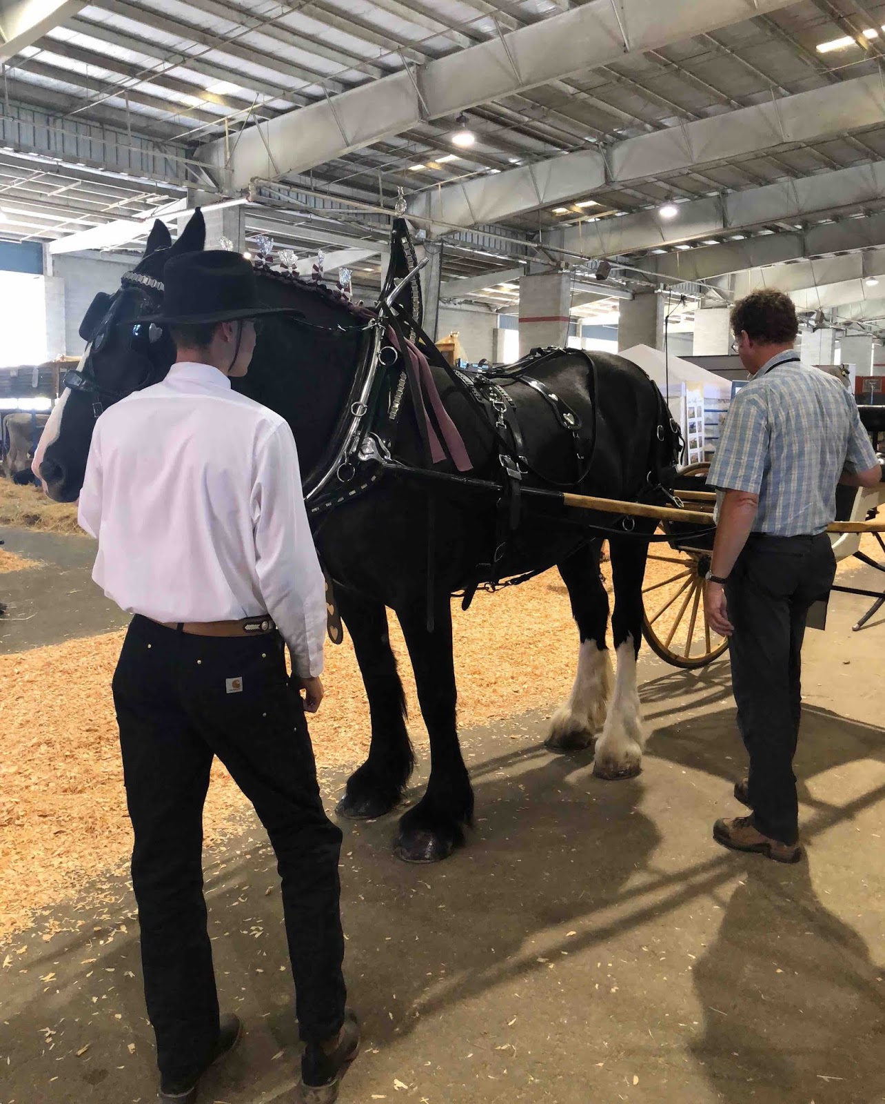 Boulderneigh Putting the horse before the cart