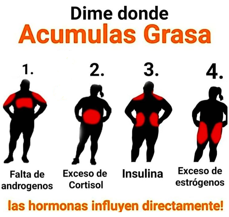 COMO PREVENIR EL EXCESO DE GRASA