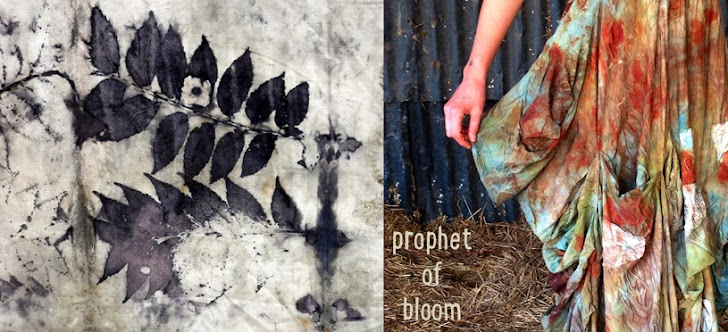 prophet of bloom