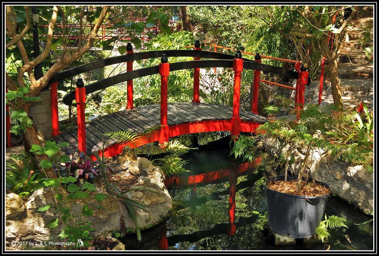 Ocala, Central Florida & Beyond Cedar Lakes Woods & Gardens