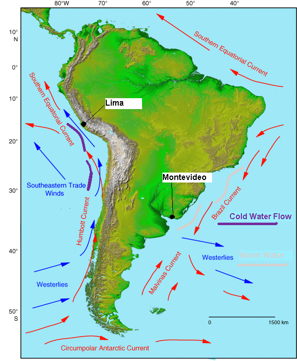 Холодные течения омывающие южную америку. Теплое течение Наска Южная Америка. Теплое течение Наска на карте Южной Америки. Течения Южной Америки на карте. Южная Америка тёплые течения Гвианское бразильское и Наска.