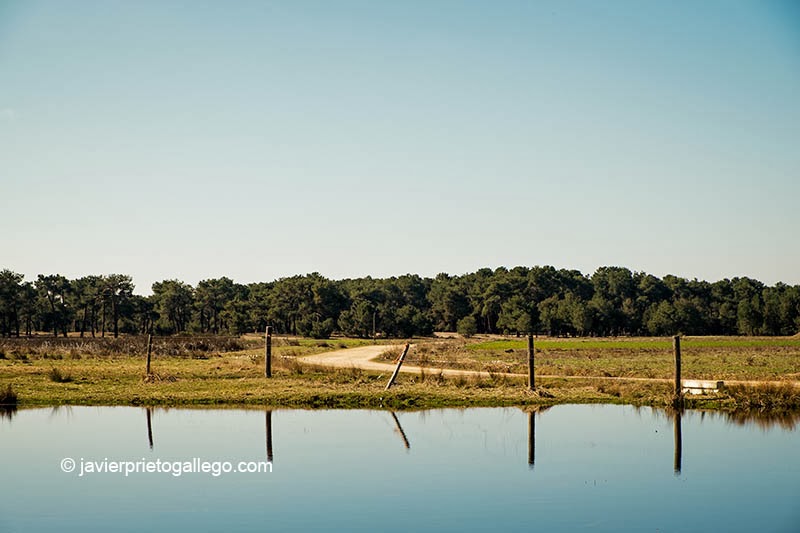 Laguna China en el espacio natural de las Lagunas de Cantalejo. Segovia. Castilla y León. España © Javier Prieto Gallego