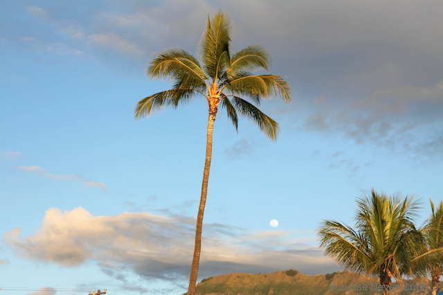 sunrisemakeshawaii,makaha,oahu,hawaii,la plage,montagne,désert,palmiers