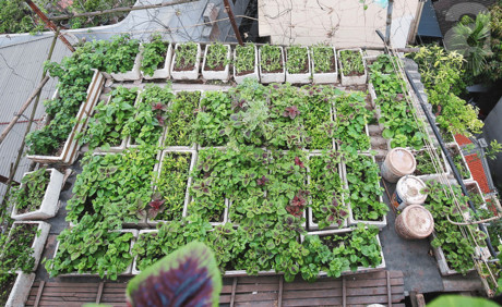 Nguong mo mo hinh VAC cua chang trai 9x o ngay trung tam Ha Noi - Anh 3