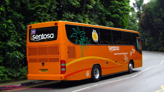 (buses[IN]gapore!): Sentosa buses' new livery!
