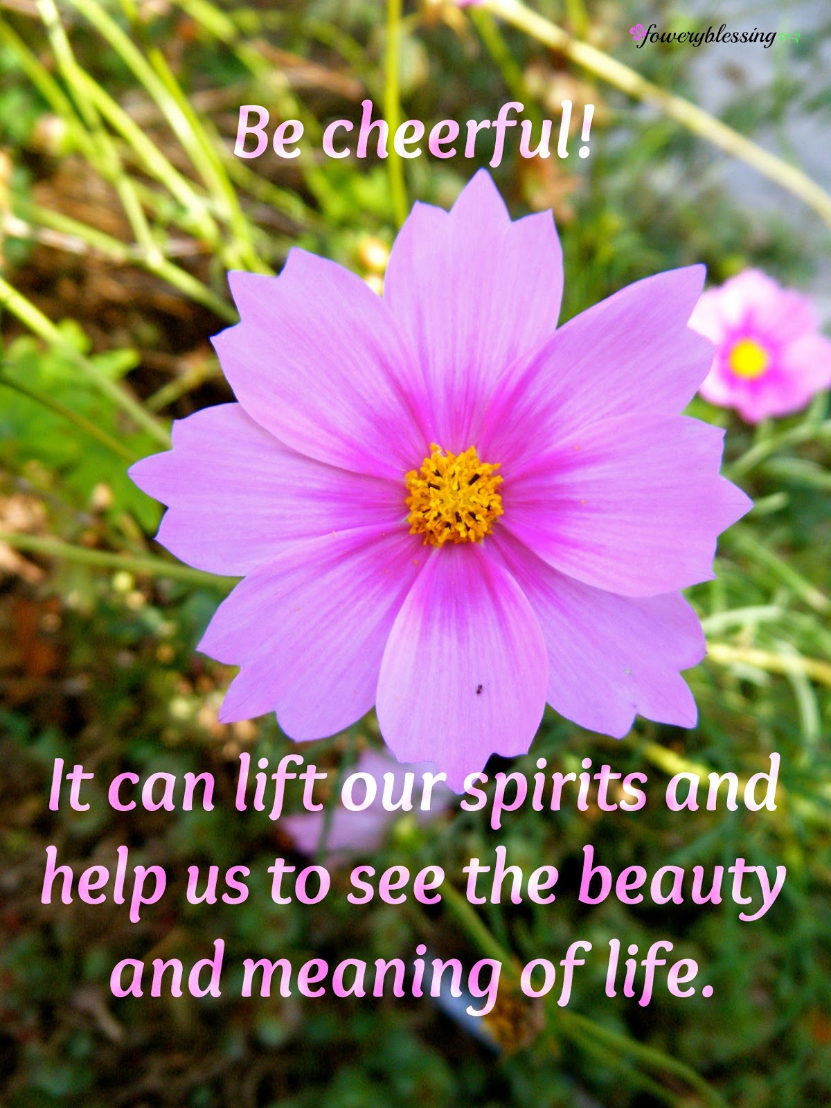Flowery Blessing Be cheerful! It can lift our spirits and help us to