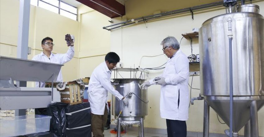 UNI: Investigadores de la Universidad de Ingeniería buscan optimizar producción del pisco aprovechando residuos de uva UNI: Investigadores de la Universidad de Ingeniería buscan optimizar producción del pisco aprovechando residuos de uva