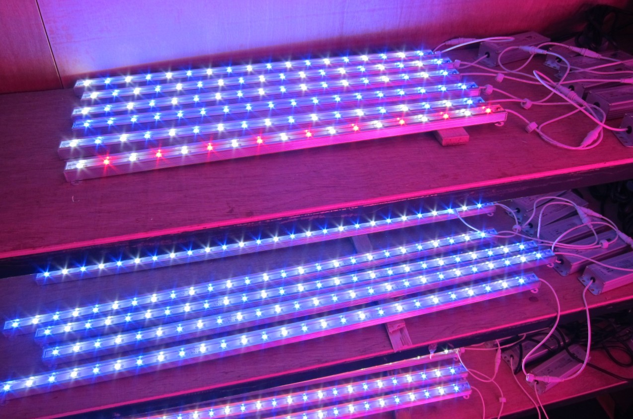 Amazing LED grow lights for flowers, vegetable, fruits, greenhouse