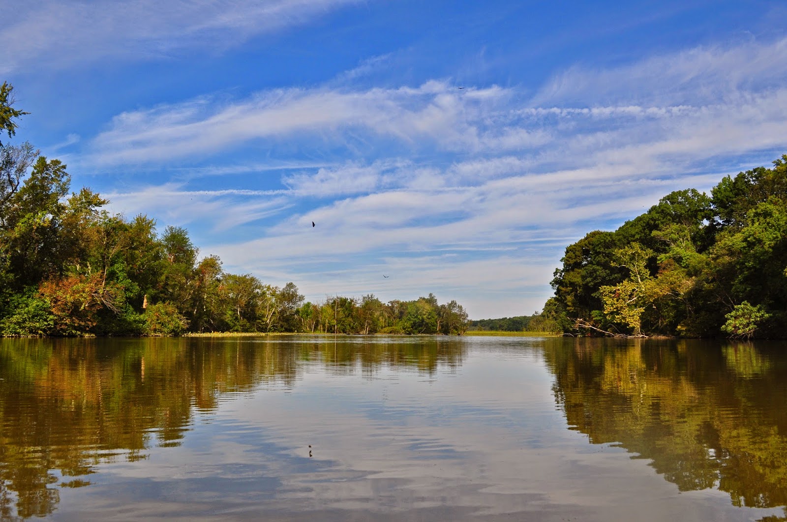 A Tidewater Paddler James River Herring Creek 9/14/14