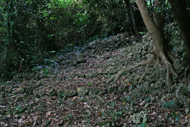 米須グスク 米須グスクの写真