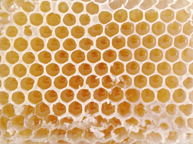 schaeresteipapier: Bienen Waben