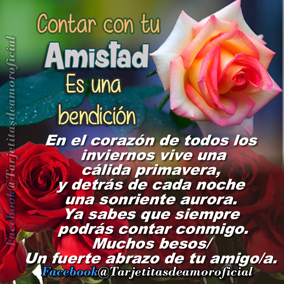 Diferencia entre t y tu - Creable
