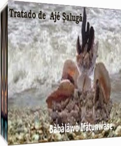 TRATADO DE AJE SALUGA