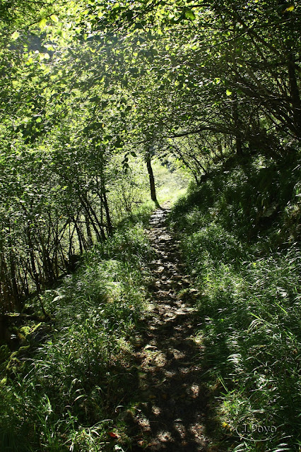 Ruta de las Foces del Río Pendón, Asturias