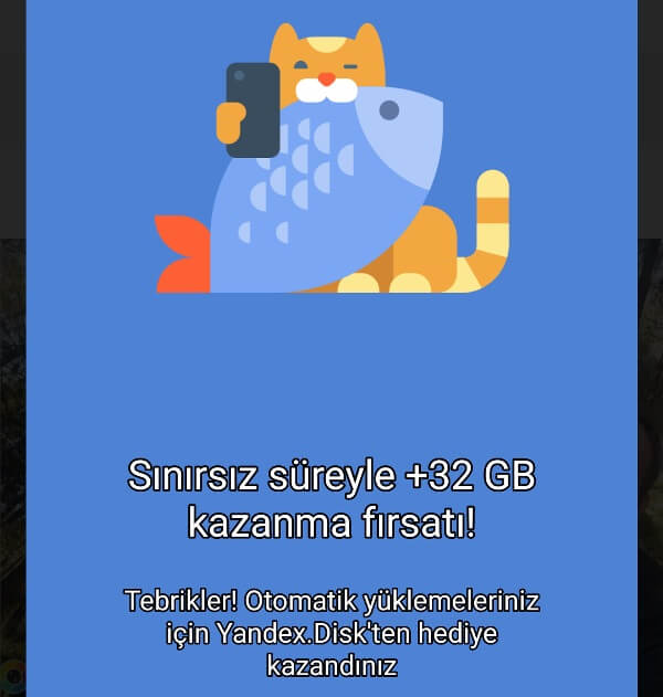 Erol Dizdar Yandex Disk