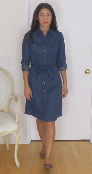 ann taylor denim dress