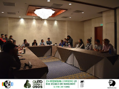 Reunión del Grupo de Expertos en Oso Andino y perspectivas a corto y mediano plazo sobre el estado de conservación de la especie