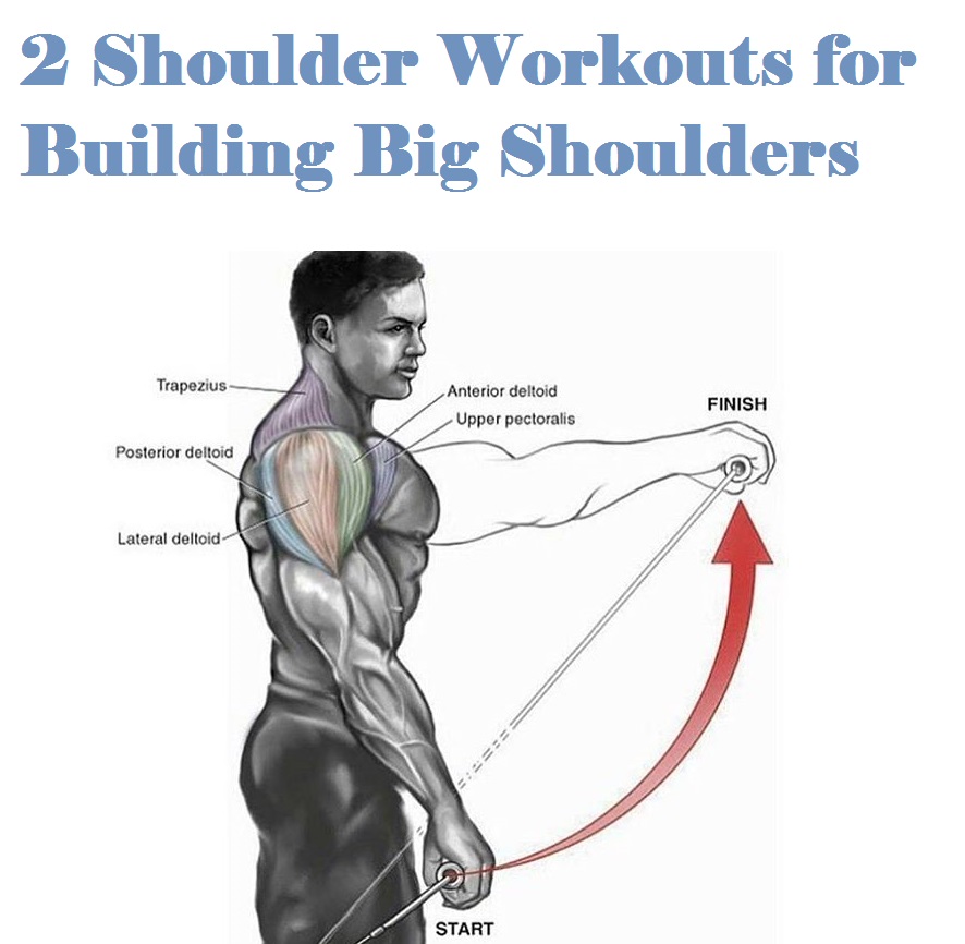 Muscle Palace Try These Two Shoulder Workouts for Mass Build Big Shoulders Fast