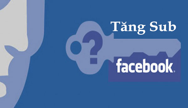 dich vu tang sub facebook