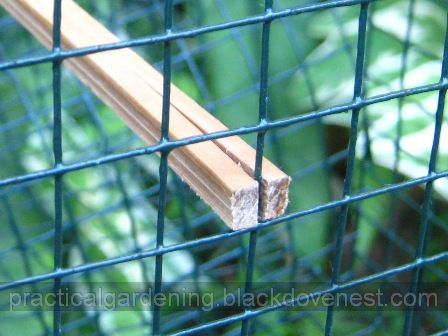 Practical Gardening: Homemade Bird Trap - Making a Perch for the Cage
