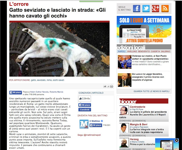 https://www.ilmattino.it/pelo_e_contropelo/gatto_seviziato_occhi_cavati_gettato_in_strada/notizie/446222.shtml