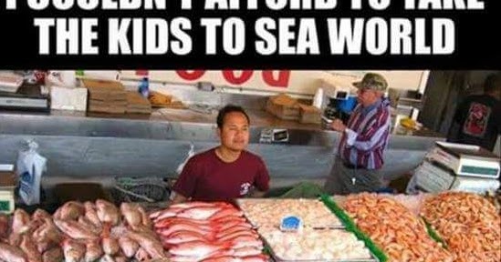 Sea World Fish Market Meme ~ Silly Bunt