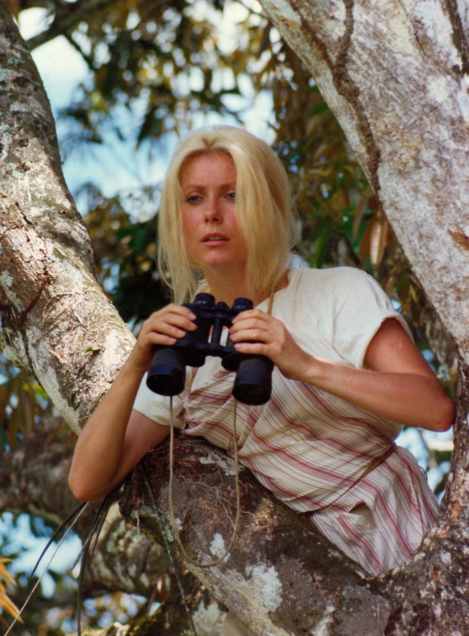 50 Beautiful Photos of French Actress Catherine Deneuve From Between ...