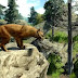 New Game Cabela Big Game Hunter 2010 and Best Game On The Market!