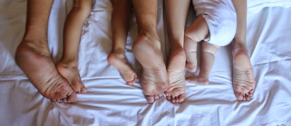 Imagen 0