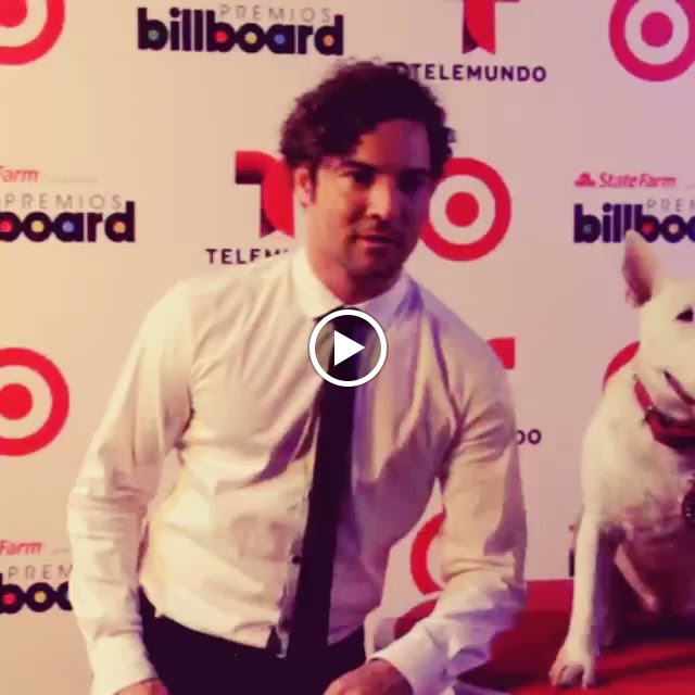 David Bisbal en Premios Billboard 2014, muy carinoso con Bullseye