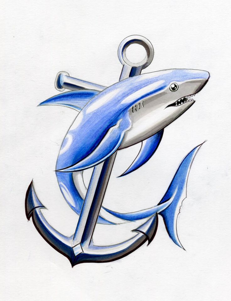 Tatuaje de tiburón en Dibujo