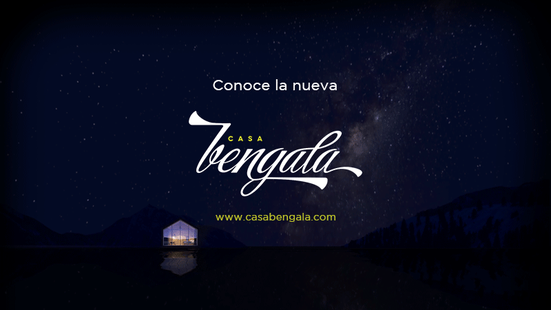 #MOTION Reel de la Semana: CasaBengala Historias poderosas y mensajes