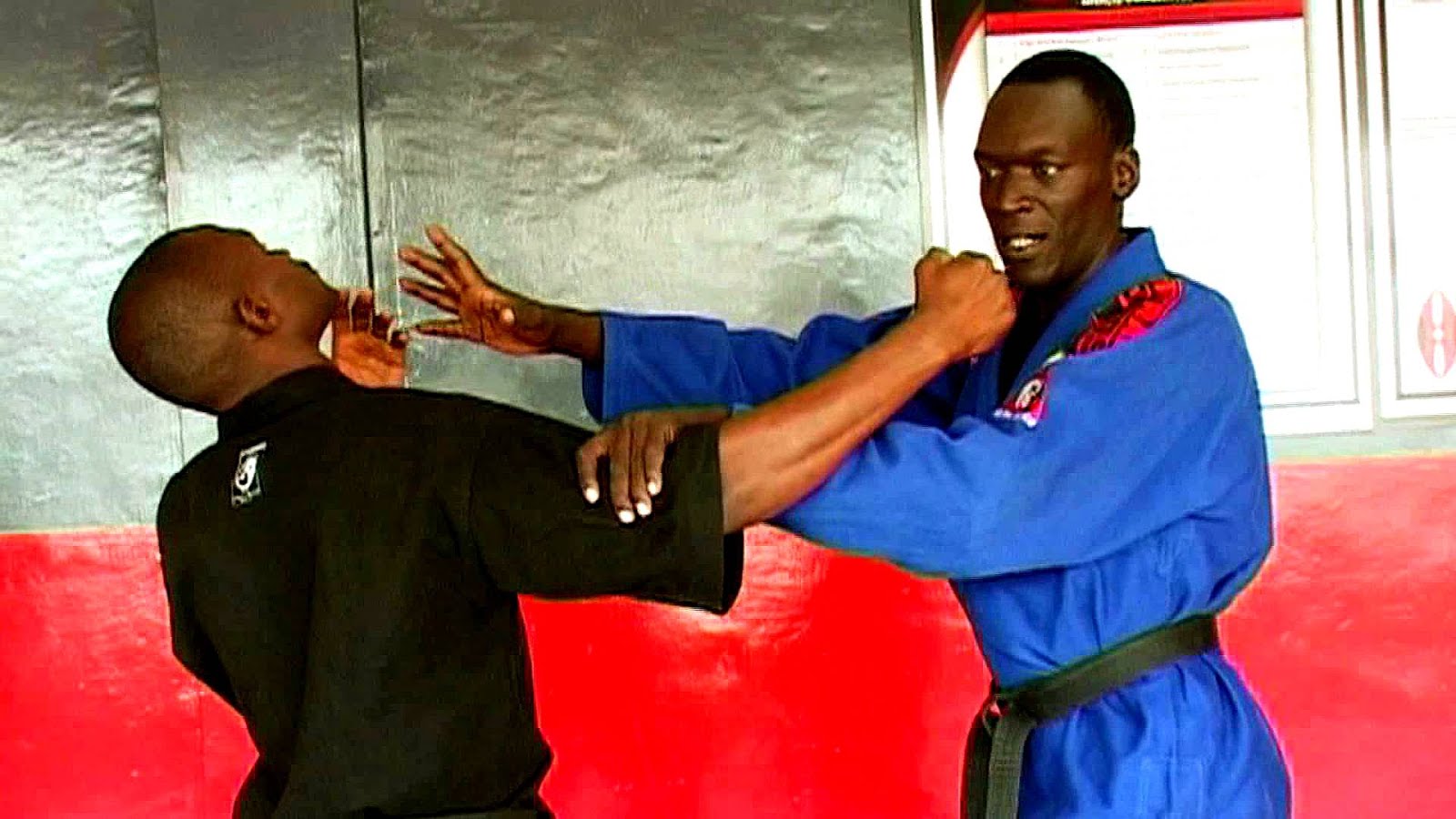 African American Martial Arts American Choices