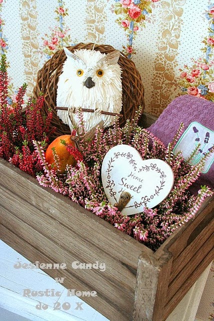 Candy w Rustic Home