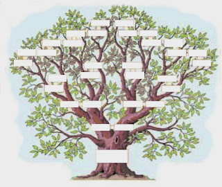 la psychogénéalogie par l'arbre généalogique pour comprendre ses origines de générations en générations