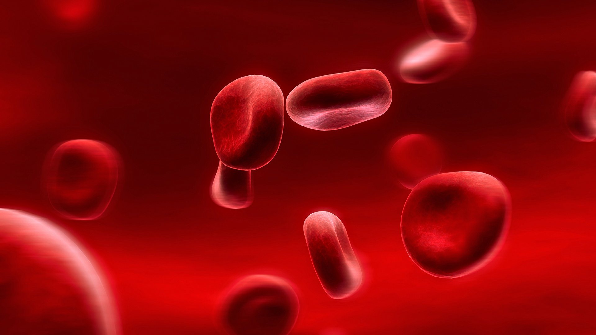 red_blood_cells-wallpaper.jpg