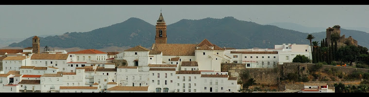 TORRE DEL COLEGIO SAFA - TORRE IGLESIA DE SAN JORGE - CASTILLO