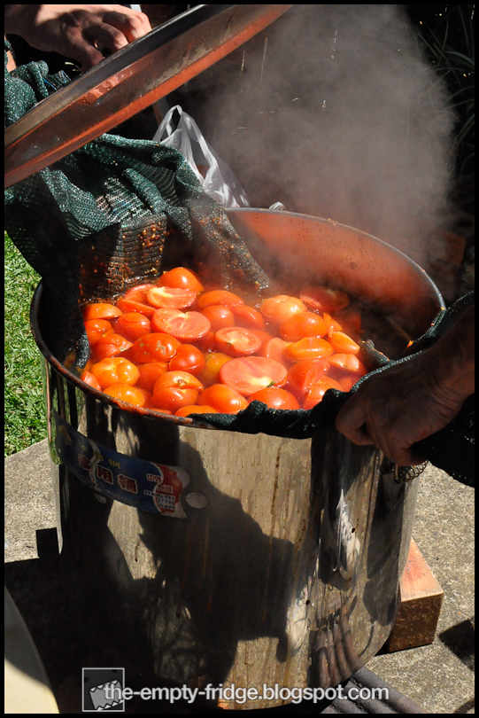 The Empty Fridge. Tomato Sauce Day Italian Backyard Style.
