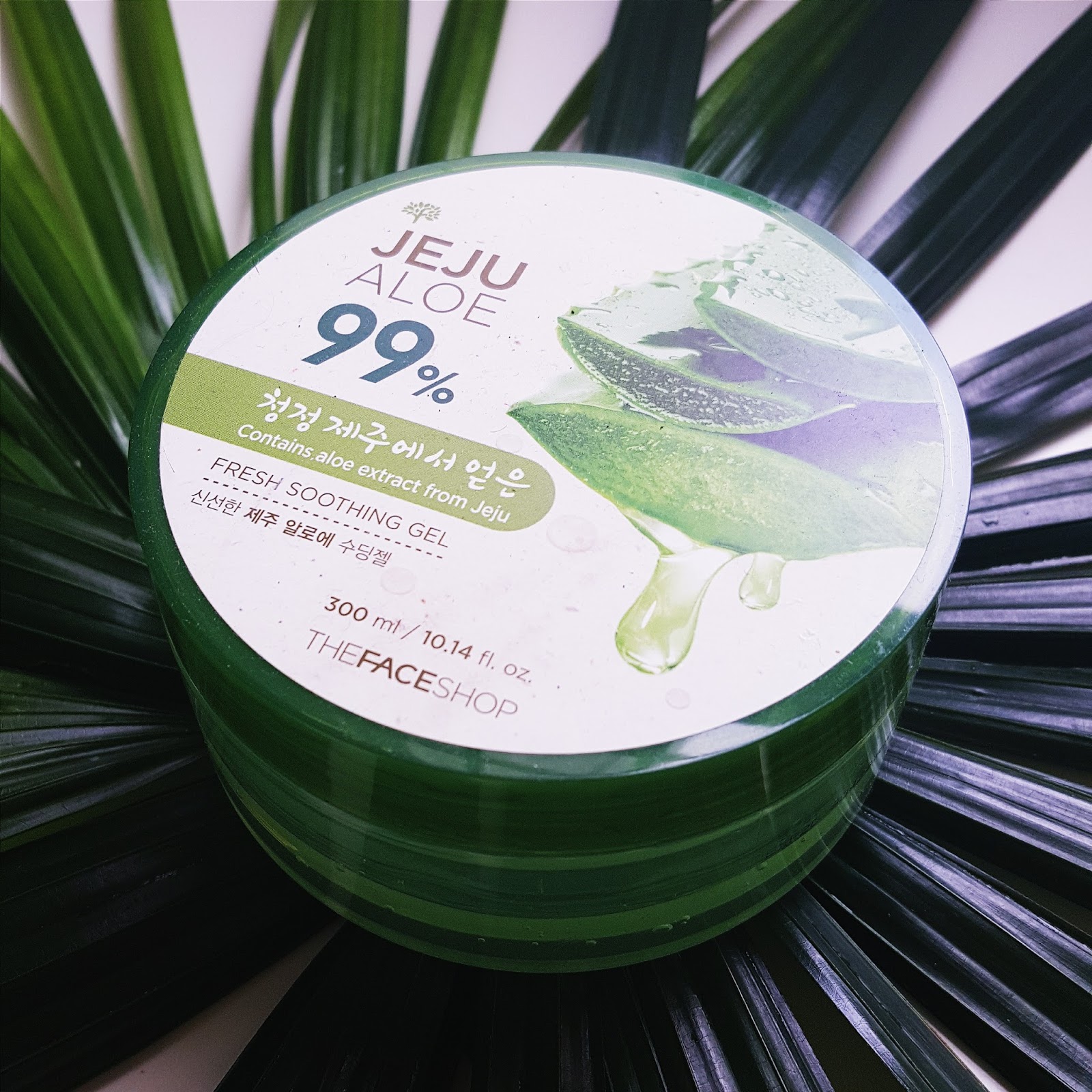 The Face Shop Jeju Aloe 99 Fresh Soothing Gel Review FISHMEATDIE